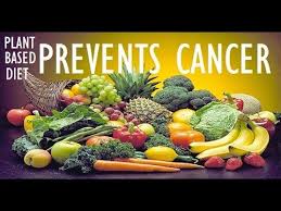 colorectal cancer vegetarian)